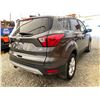 Image 14 : PARKSVILLE - 2019 FORD ESCAPE GREY 193835 KMS - C41497-1