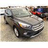 Image 9 : PARKSVILLE - 2019 FORD ESCAPE GREY 193835 KMS - C41497-1