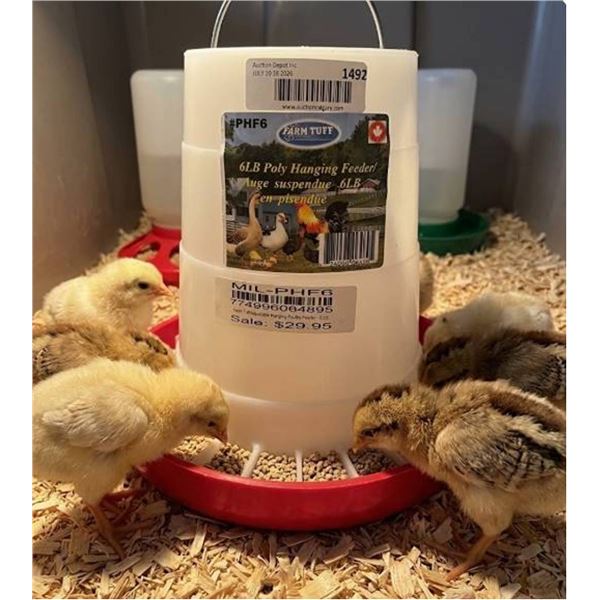 Farm-Tuff 6LB Poly Hanging Feeder