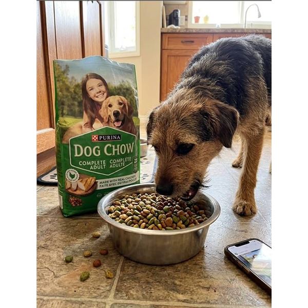 Purina Dog Chow Complete Adult 2kg