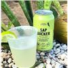 Image 1 : Sapsucker Sparkling Lime Beverage 12-Pack