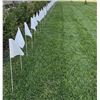 Image 1 : 4x50 Count DGT-FLAGS Wrapped Flag Poles - White - 200 total count