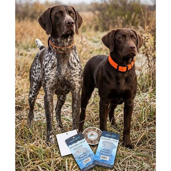 ASD Standard Dog Collar and Leash Set