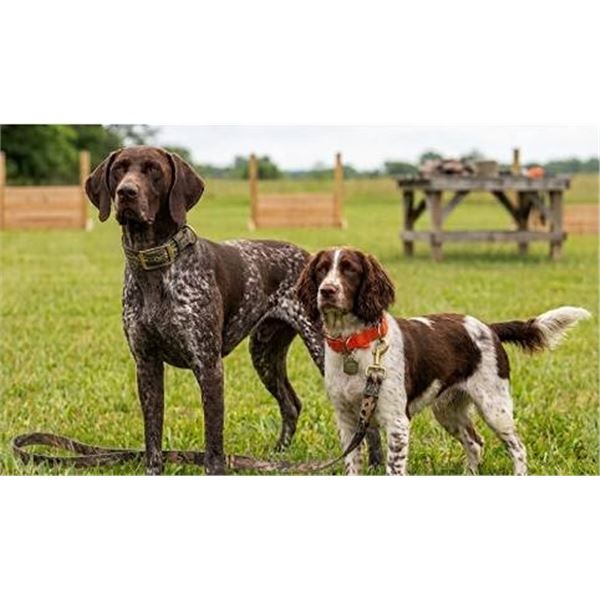 Dog Training Leash and Collar Set, 3 Pieces