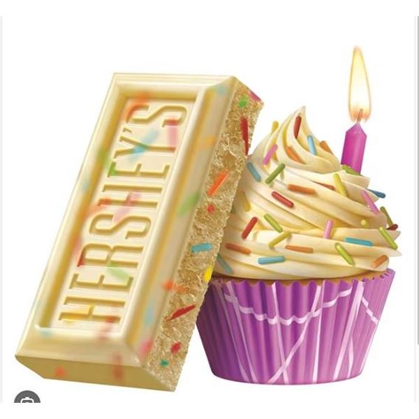 Hershey's Birthday Cake 95g Bar, Case of 14