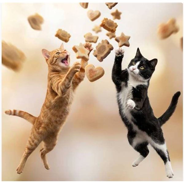 Catit Creamy Bitz Mega Mix Cat Treats