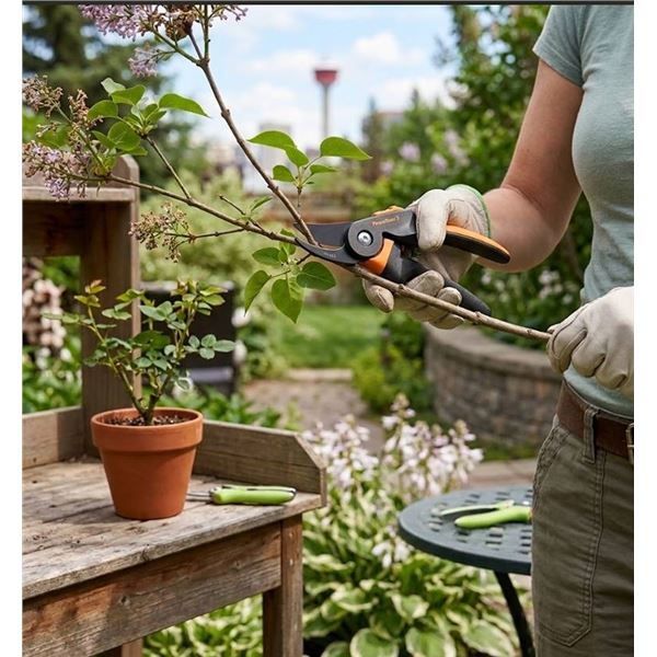 Loy of 3 Pruning Shears