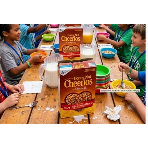Honey Nut Cheerios Cereal 1.51 kg Box