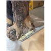 Image 4 : Bear and Beehive Resin Bird Bath