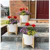 Image 1 : HOMEBASE Ceramic Planters With Stands 3-Pack