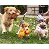 Image 1 : Farm Friends Microfiber Dog Toys, 3 Pack