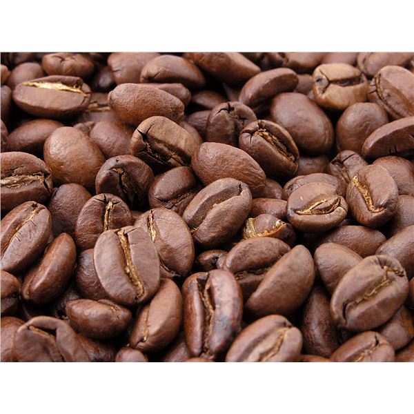 Mother Parkers Hazelnut Wholebean 2lb
