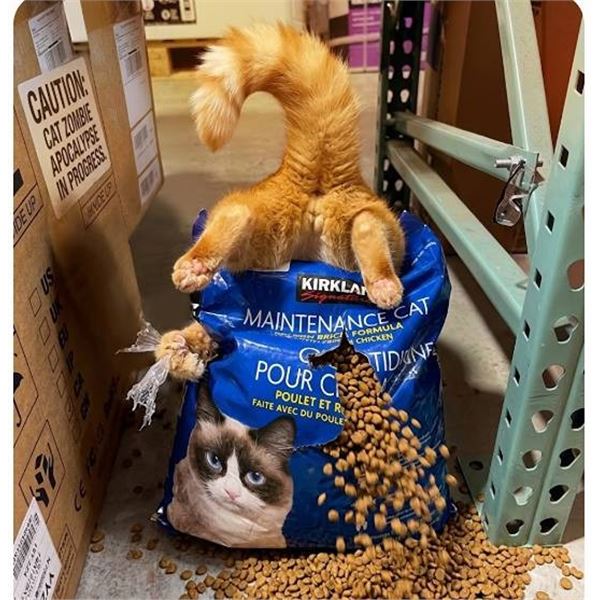 Kirkland Maintenance Cat Food 9.07kg