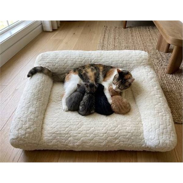 Kirkland Signature High Back Pet Sofa Bed