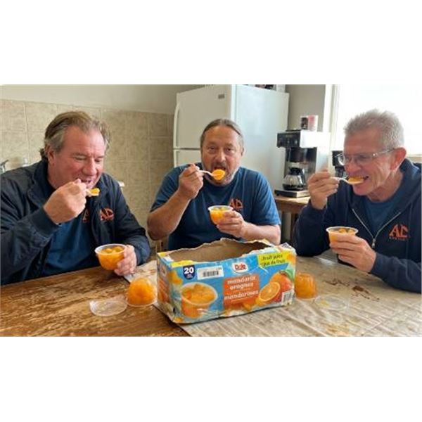 Dole Mandarin Oranges in Fruit Juice 20 Pack