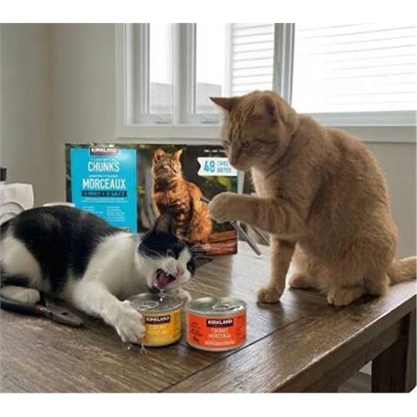 Kirkland Chunks in Gravy Cat Food 48X85G Cans