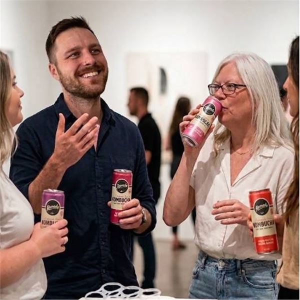 Remedy Kombucha Variety Pack, 18 Cans