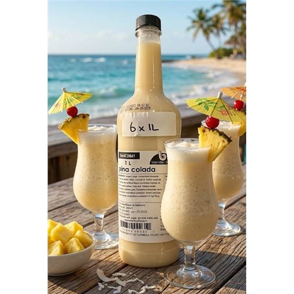 Blender Boyz PiÃ±a Colada Mix 6x1L Bottle