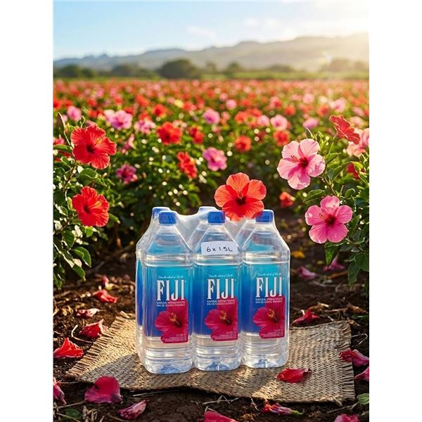 FIJI Natural Spring Water 1.5L, Pack of 6