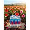 Image 1 : FIJI Natural Spring Water 1.5L, Pack of 6