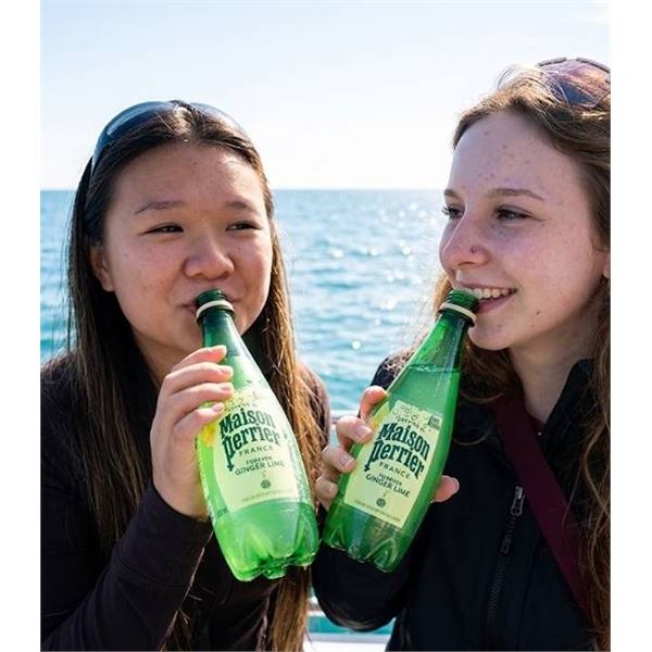 Maison Perrier Ginger Lime 2x(6x500ml) Pack