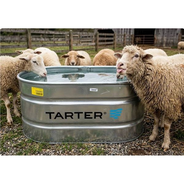 Tarter Oval Ultra 100 Gal Galvanized Tank