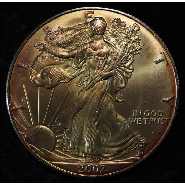 2002 AMERICAN SILVER EAGLE