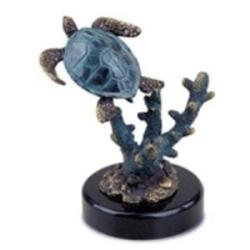 Solo Sea Turtle with Coral