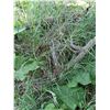 Image 3 : Bale Spear-Fits International 706