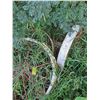 Image 4 : (4) Wagon Wheels, (1) Binder Wheel