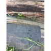Image 2 : Approx (10 ) Railway Ties, Belting, Uprights