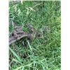 Image 4 : Two Furrow Tractor Plow