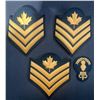 Image 2 : Canadian Military Rank and Insignia Patch Lot