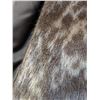 Image 6 : Vintage Seal Fur jacket