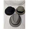 Image 1 : Set of three hats - BDG grey fedora, black felt w/Blk ribbon, grey felt w/Blk velvet band