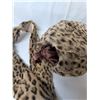 Image 2 : Leopard muff and scarf/collar