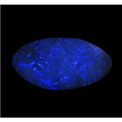 29.97ct Australian Black Opal Doublet Full Fire (GEM-20388)