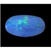 3.61ct Australian Black Opal Doublet Full Fire (GEM-22391A)