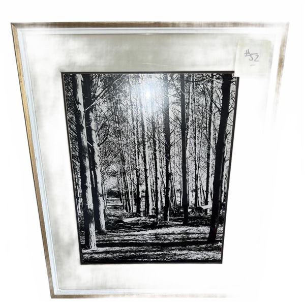 Framed Black and White Forest Photograph