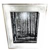 Image 1 : Framed Black and White Forest Photograph