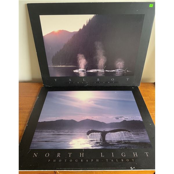 Three Wildlife Posters: Talbot and Brandenburg Photographs