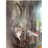 Image 5 : Three Wildlife Posters: Talbot and Brandenburg Photographs