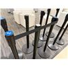 Image 2 : Multiple Queue & ProLine Black Retractable Belt Crowd Control Stanchions