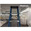 Image 2 : Werner FS108 Blue 8' Step Ladder 250 lb Capacity