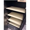 Image 4 : AMSEC American Security Products 50000120 High-Security Floor Vault Safe