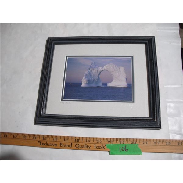 Bay Bulls Print in Frame by B. Bursey - 9.5”x11.5”