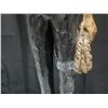 Image 3 : Vintage 3-foot tall "Stretch" cowboy sculpture produced by Austin Productions. (Broken/Damaged - See