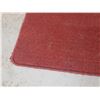 Image 3 : Red Area Rug. (31" X 45")