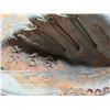 Image 2 : Baseball gloves