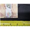 Image 8 : Desk Décor w/ Coins, $100 Reproduction Bank Note *COPY*